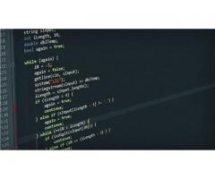 Scheau Andrei - Image 2