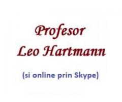 Leo Hartmann - Image 2