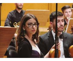 Corina Dinisoae - Image 2