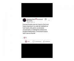 Elena Baciu - Image 2