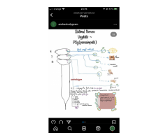 Tălpeanu Andra - Image 2