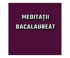 Meditații de 10 Bacalaureat limba si literatura română