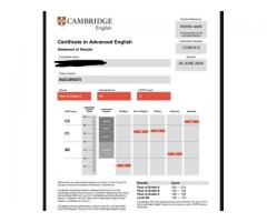 Profesor certificat Cambridge - Image 2