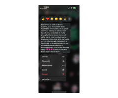 Meditații Limba și Literatura Română